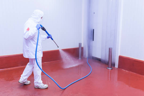 Best Building Exterior Washing  in Siesta Acres, TX