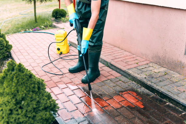 Best Dumpster Area Cleaning  in Siesta Acres, TX