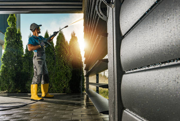 Best Graffiti Removal  in Siesta Acres, TX
